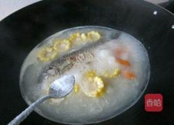 胡萝卜玉米鲫鱼汤的做法图解13