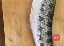 干锅黑鱼的做法图解3
