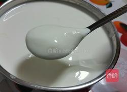 酸奶的做法图解9