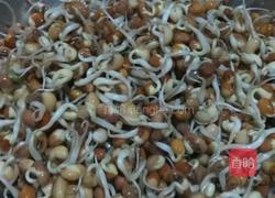 发豇豆芽的做法图解6