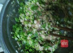 猪肉香菜馄饨馅的做法图解12