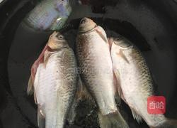鲫鱼炖豆腐的做法图解4