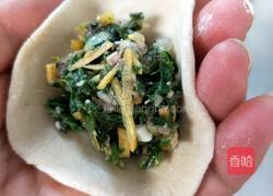 荠菜胡萝卜肉水饺的做法图解11