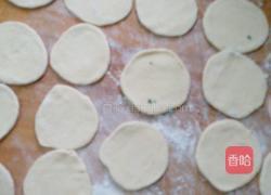 荠菜饺子的做法图解4
