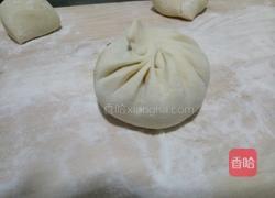 荠菜包子的做法图解7
