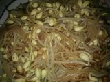 凉拌黄豆芽