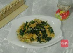 香菜炒鸡蛋的做法图解7