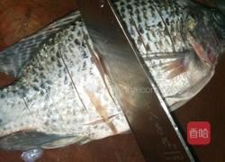 清蒸福寿鱼或鲈鱼的做法图解2