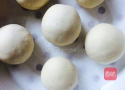 紫薯包子的做法图解4