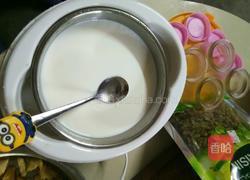 酸奶的做法图解4