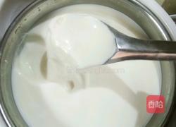 酸奶的做法图解5