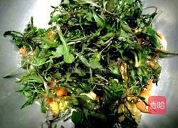 苦麻菜炒鸡蛋的做法图解6