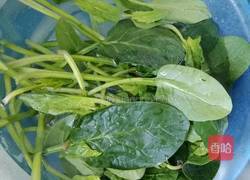 玻璃翠烩虾仁的做法图解1