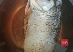 松鼠鲤鱼的做法图解1