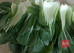 素炒油菜的做法图解1