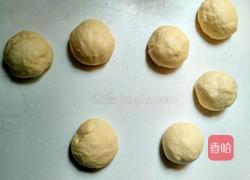 玫瑰花面包(八寸)的做法图解3