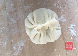 白菜猪肉馅饼的做法图解10