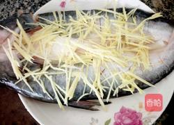 清蒸海龙鱼的做法图解5