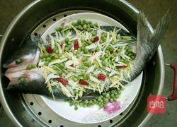 清蒸海龙鱼的做法图解6