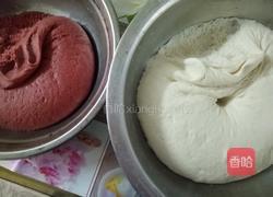 双色馒头的做法图解6