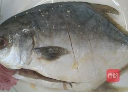 红烧鲳鱼的做法图解1