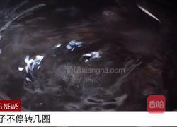 无油快手又好吃的 卤肉饭的做法图解21