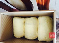 纯牛奶土司的做法图解11