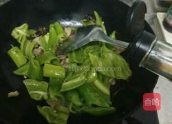 辣椒炒肉的做法图解4