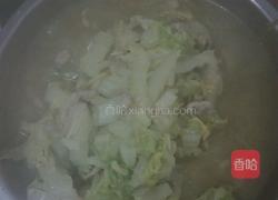 大白菜肉丝汤（炒肉丝的做法图解3