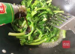 蒜末蚝油菜苔的做法图解5