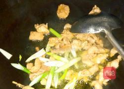 芥菜嘎哒炒肉的做法图解8