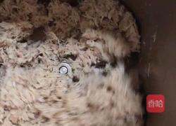 猪肉松的做法图解6