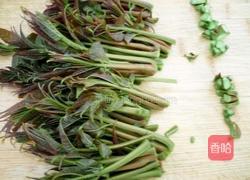 两种吃法香椿拌豆腐的做法图解3