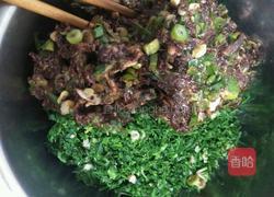 荠荠菜饺子的做法图解3