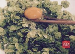，榆钱子炒鸡蛋的做法图解2