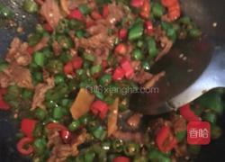 辣椒炒肉的做法图解4