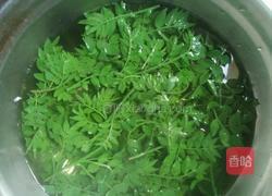 花椒芽拌豆腐的做法图解2