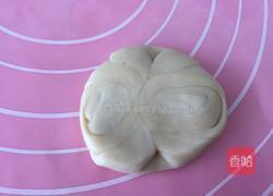 老婆饼(豆沙馅)的做法图解17