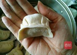 西瓜皮猪肉馅饺子的做法图解16