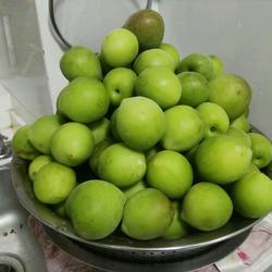 青梅酵素的做法[图]