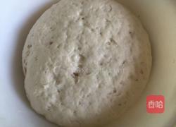 水煎包（猪肉韭菜馅儿）的做法图解4