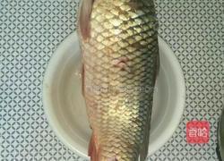 家常炖开河鱼的做法图解1