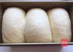 蜜红豆吐司的做法图解14