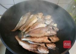 家常炖小海鱼的做法图解3