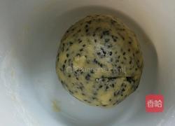 芝麻酥饼的做法图解5