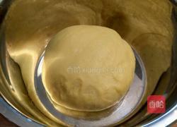 椰蓉奶香面包的做法图解4