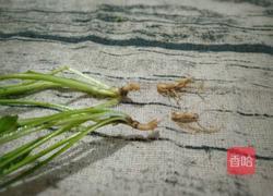 荠菜花煮鸡蛋的做法图解5