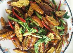 食材菜谱图