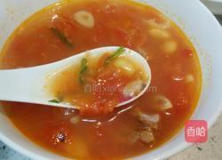 西红柿炖牛腩的做法图解8