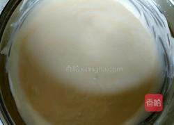 芒果雪糕(冰淇淋)的做法图解11